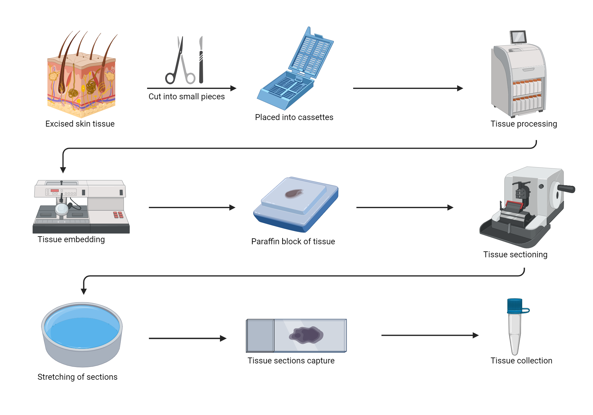 Pathology Billing