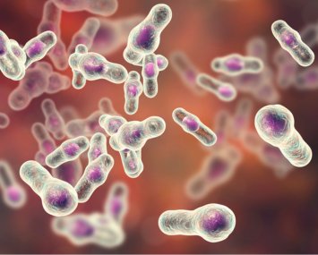 Clostridium Difficile and Microbiota Therapeutics