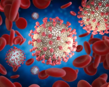 Hematology-Oncology Infectious Diseases