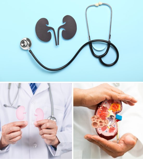 Nephrology Medical Billing Services
