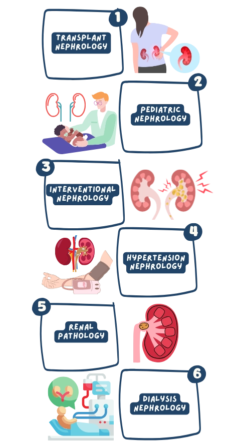 Nephrology Specialties Infographic