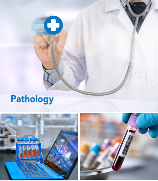 Pathology Billing and Coding Services