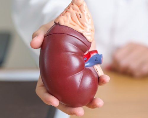 Adrenal Gland Disorders